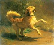 Rudolf Koller Springender Hund Germany oil painting artist